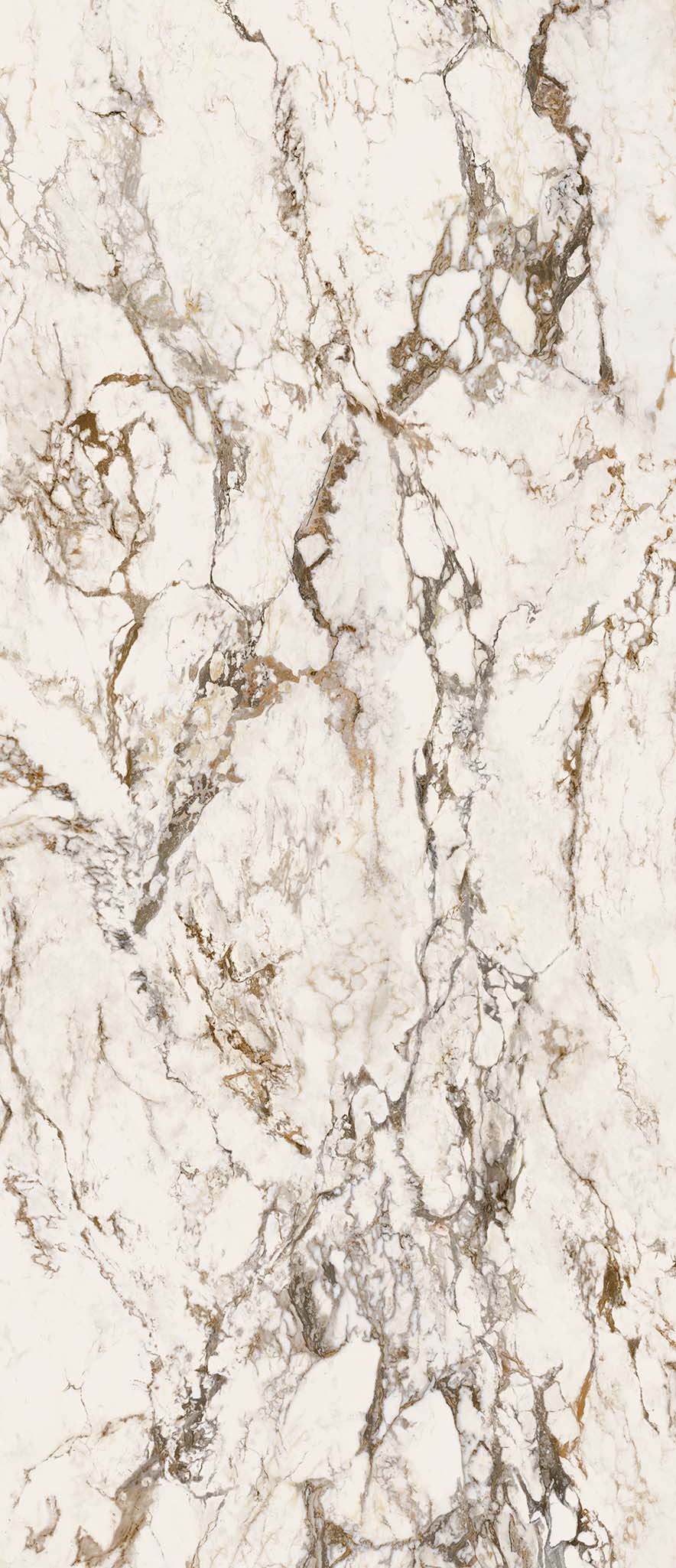 EB1A Breccia Tortona Lap RT 120x278 Keope