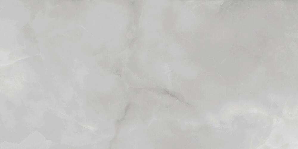PR230 Vilema Grey Polished 60x120 PrimaVera