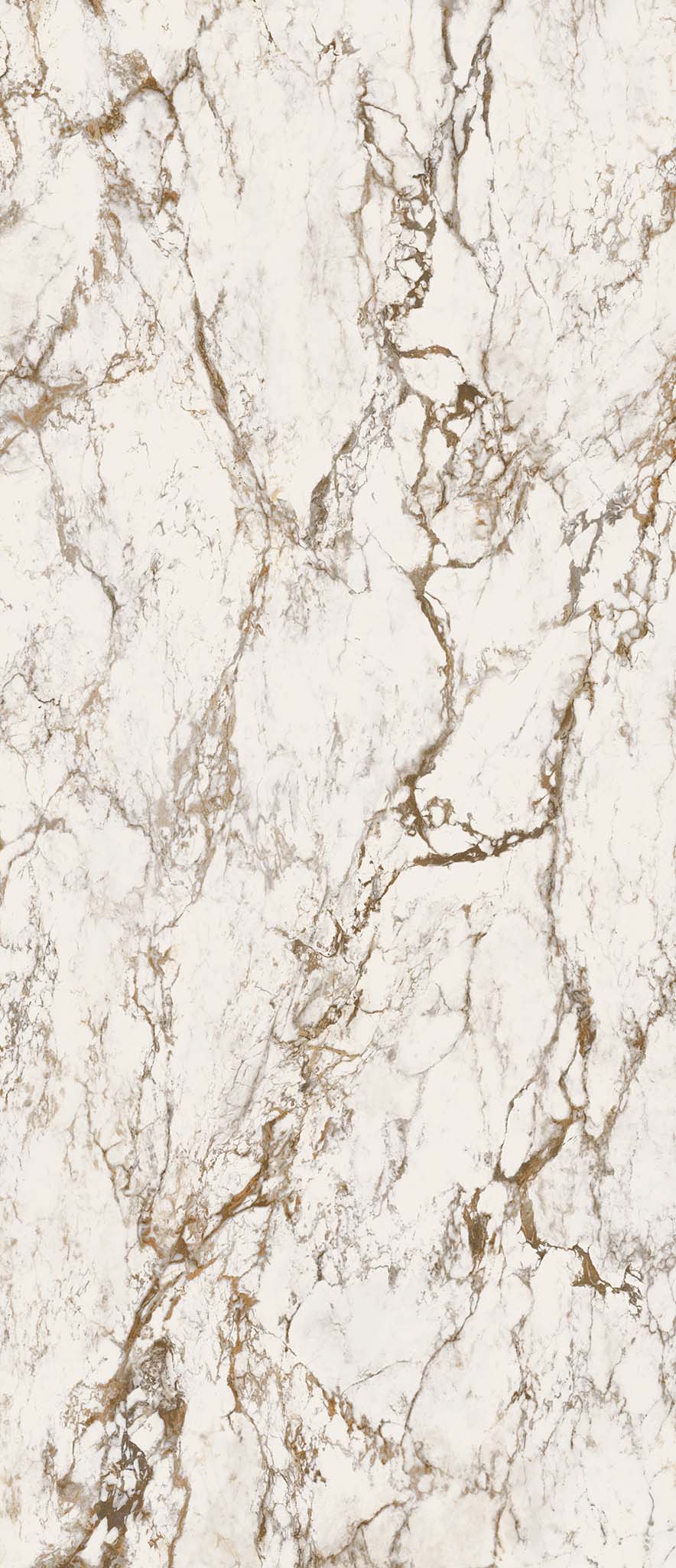 EB1A Breccia Tortona Lap RT 120x278 Keope