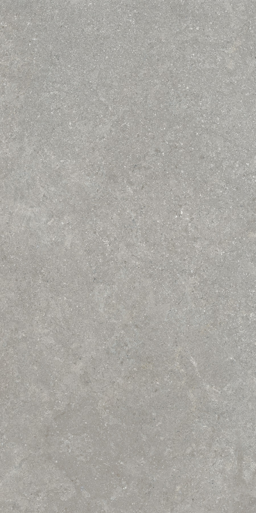 K948634R0001VTER SandStone Серый Матовый R10A Ректификат 60х120 Vitra