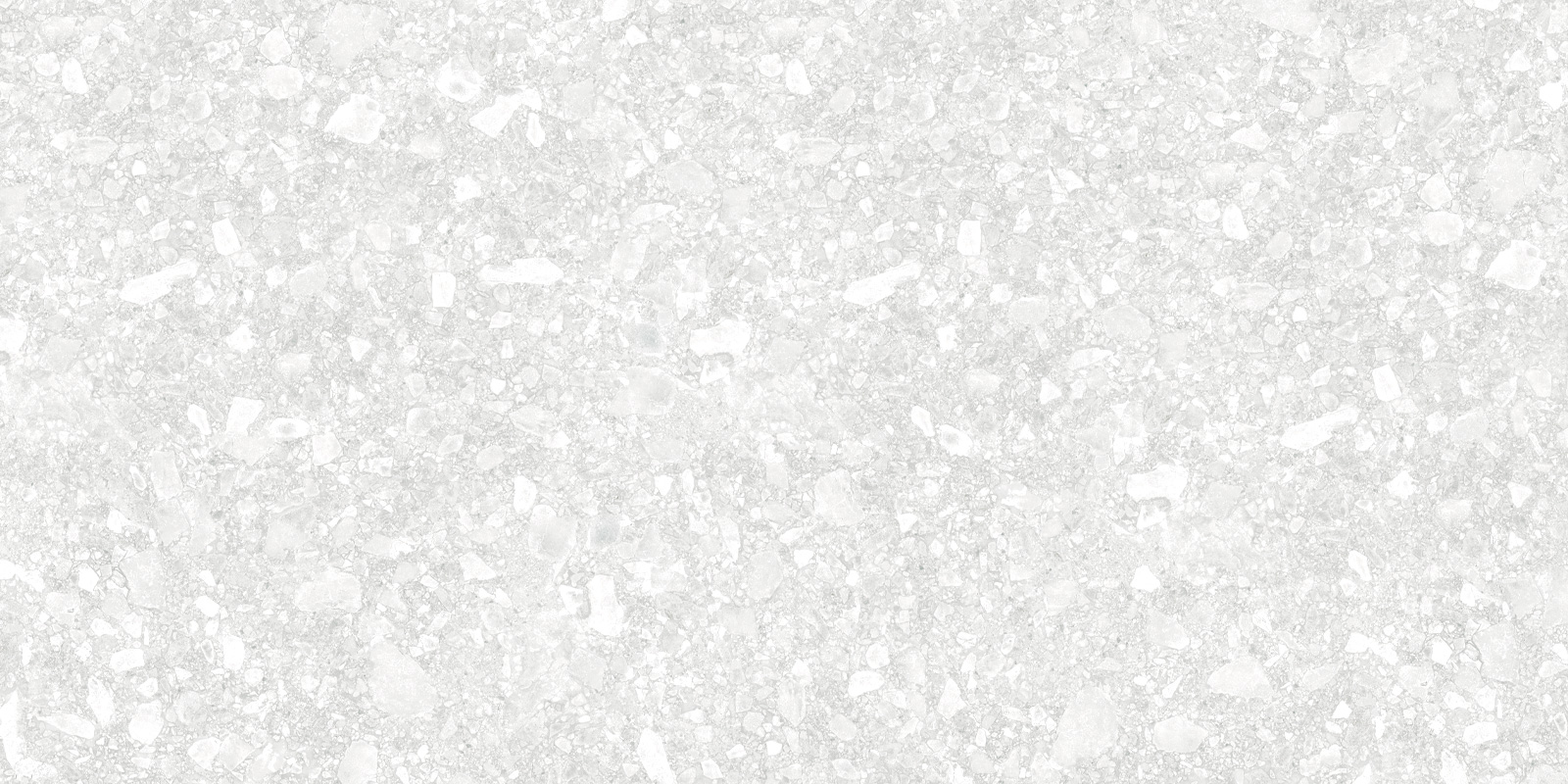D12041M Turin Light 1200x600x9.5 Delacora
