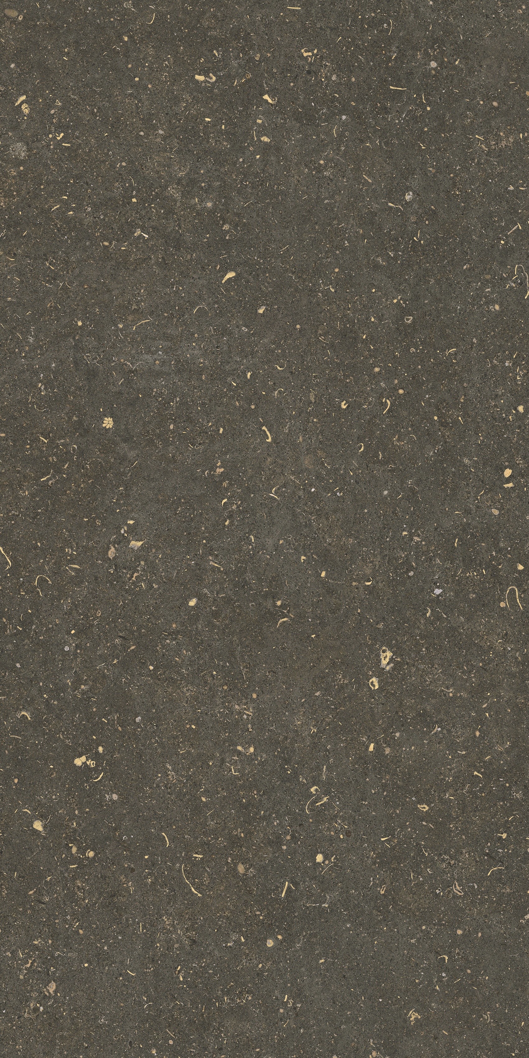 785511 Rinascenza Arena Platino Grip 20mm 60x120 Casa Dolce Casa фото 3