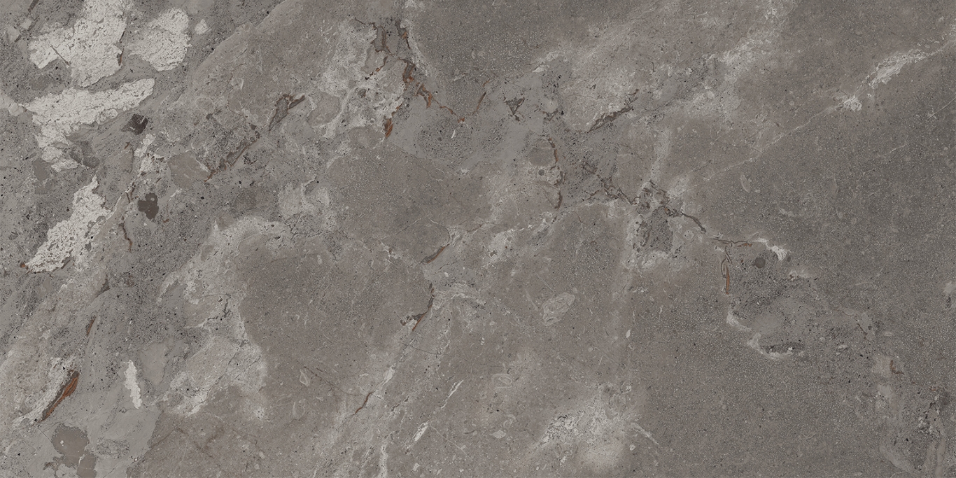 93448 Karnis Charcoal Matt 60x120 Cerdomus