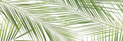 Панно Brennero Tropic (2) 50x75 Ceramika Konskie