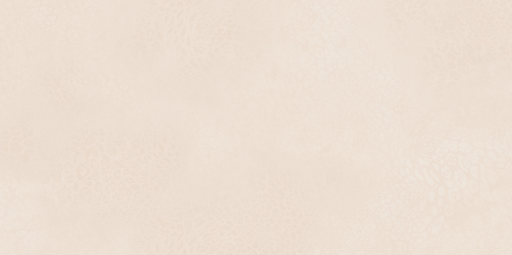AVS-102 Avanti Beige Grain 600x1200 AVS фото 3
