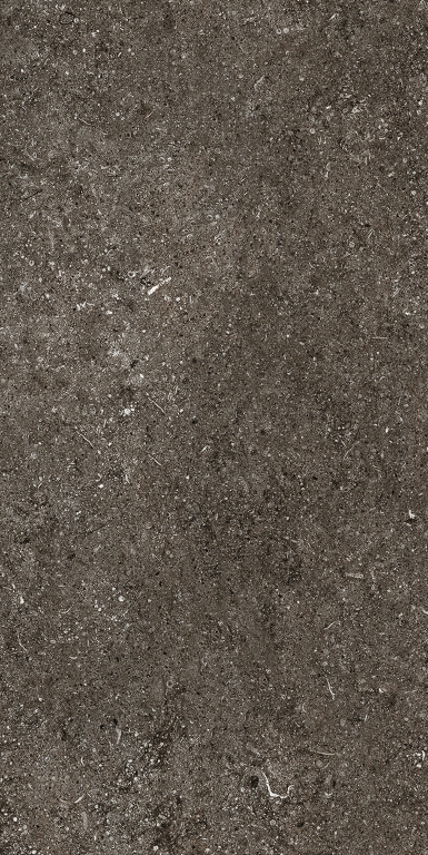 768625 Sensi Brown Fossil Nat Ret 6mm 60x120 Casa Dolce Casa