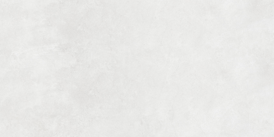 N12610 Concrete White Matt 60x120 Neodom
