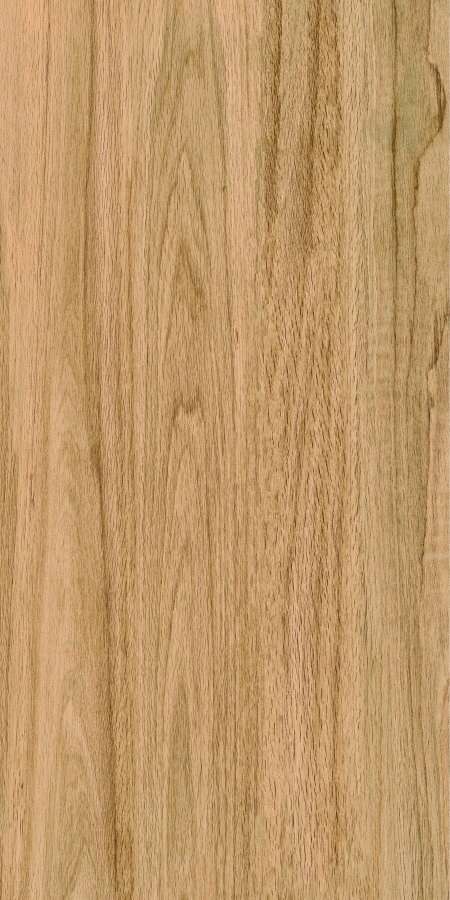 Greenwood Great Matt 60x120 Bonaparte