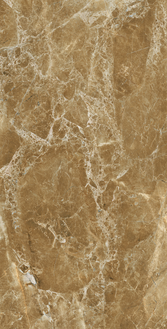 Zanetta Moka Glossy 60x120 Modern Tile