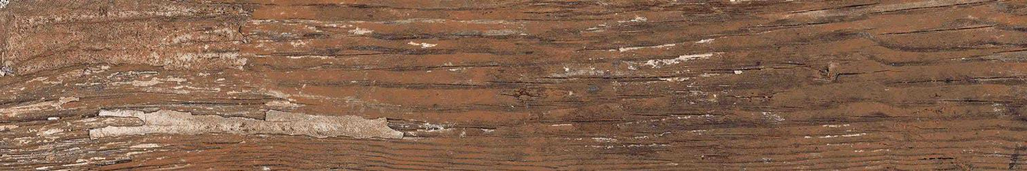 Kiwi Redroot Mat 20x120 Alpas Euro