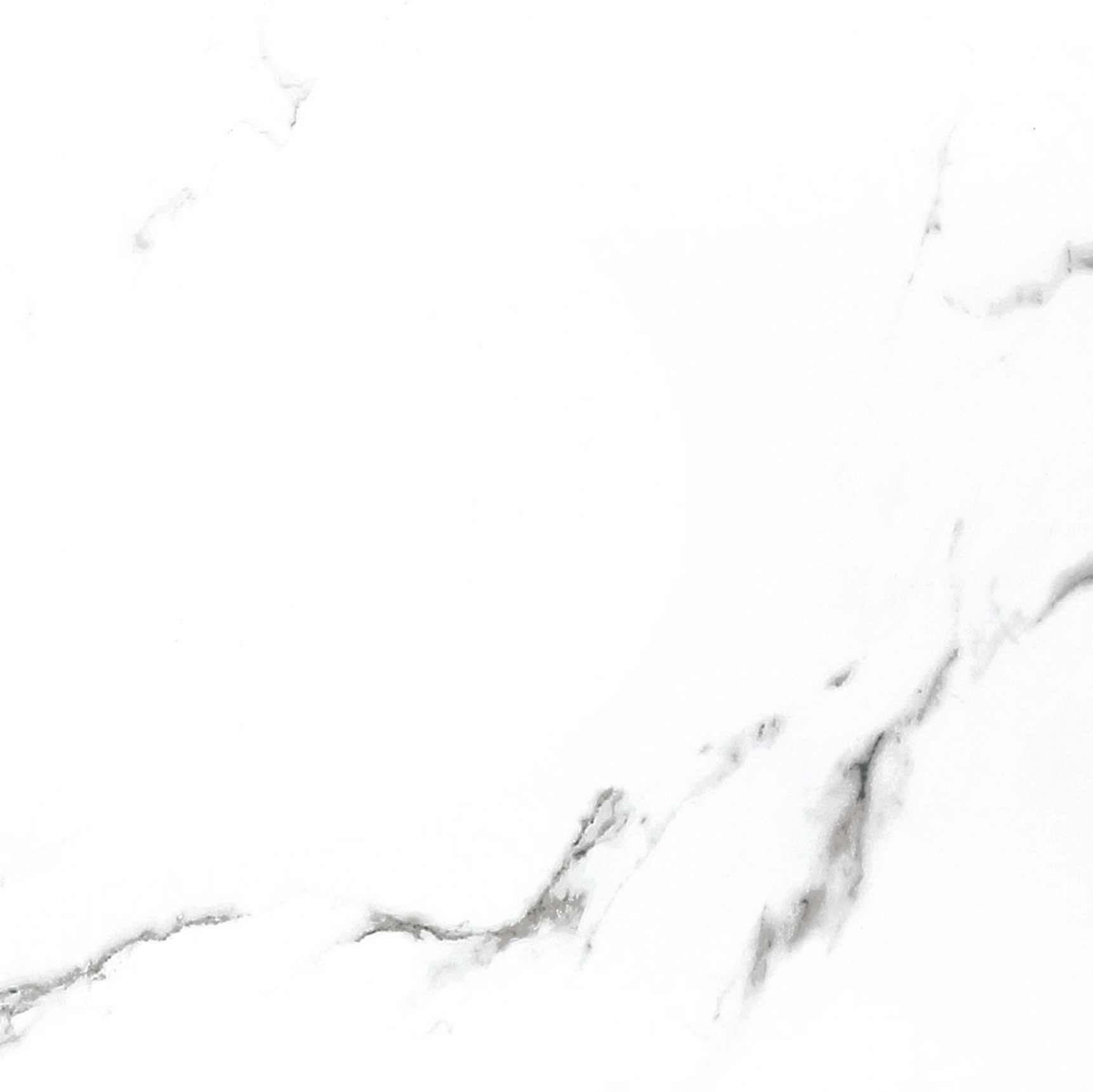 BB6NTT9100P Bright And Shiny 60x60 NT Ceramic фото 3