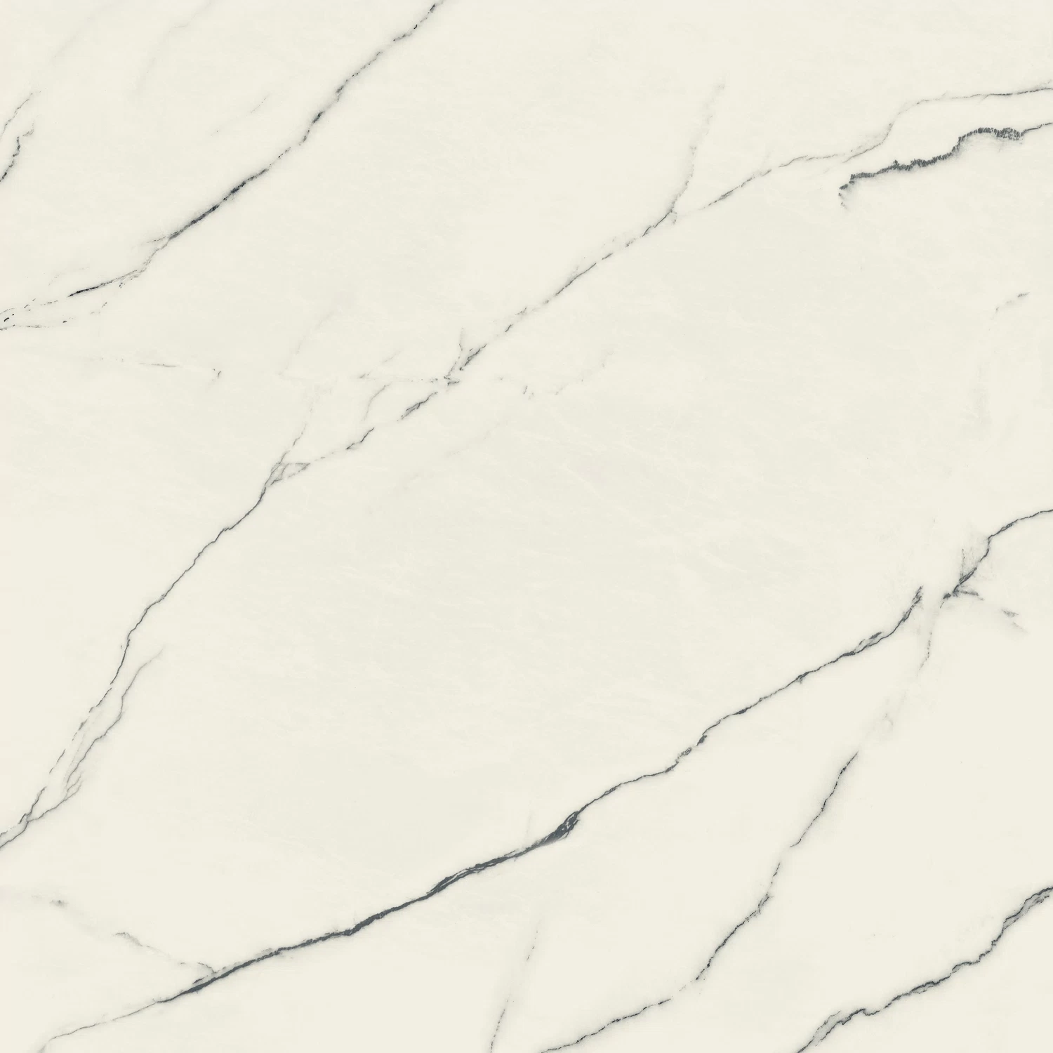 610010002716 Forte dei Marmi Lilac Rett 80x80 Atlas Concorde Russia