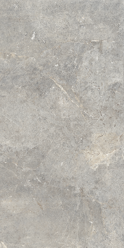 1089326 Evergreige Rett (P) 60х120 Cercom