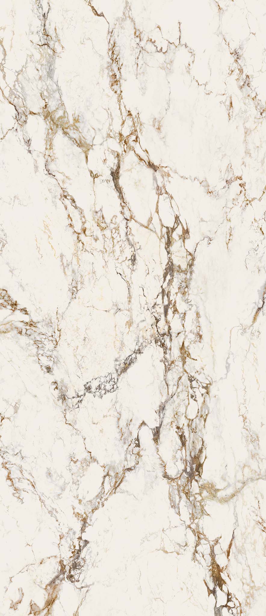EB1A Breccia Tortona Lap RT 120x278 Keope