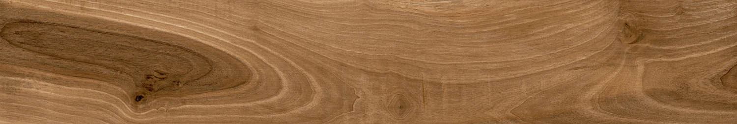 Tasmania Teak 20x120 Ecoceramic