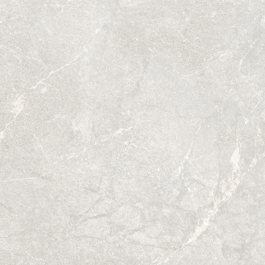 Rocky Bianco PRO светло-серый матовый R10GR 60х60 Laparet