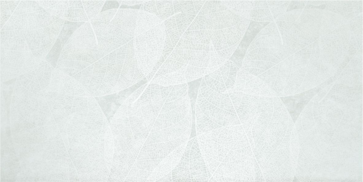 Eleganza Pale Arte Carving 60x120 Infinity Ceramica