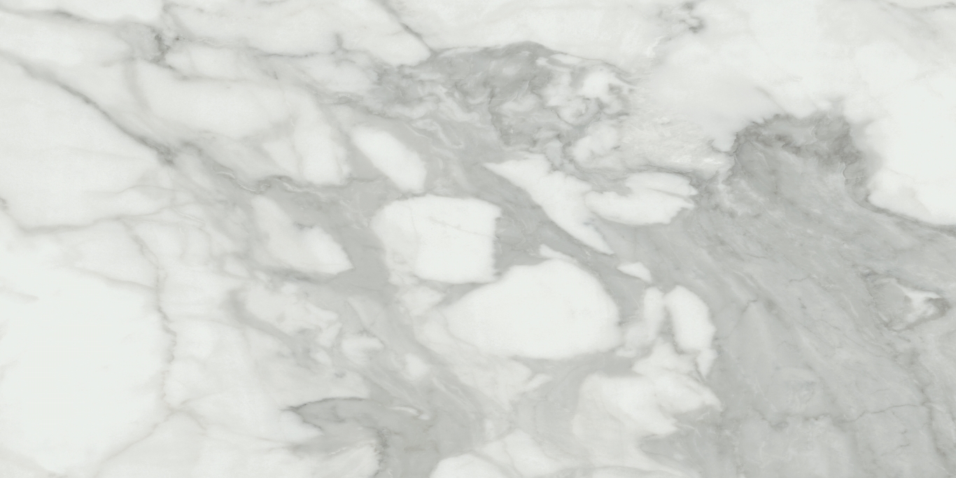 Invictus Natural Rectificado 60x120 Baldocer