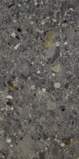 Ceppo Nero Rett 60х120 Cercom