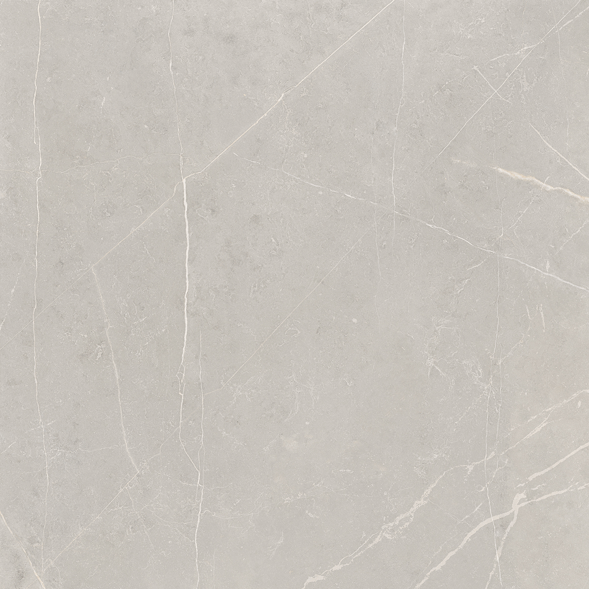 NL02 Nolana Light Grey Неполированный Рект. 60x60x10 Estima