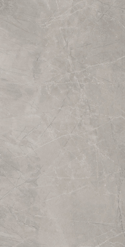 Bayona Silver Pulido 120x240 Baldocer