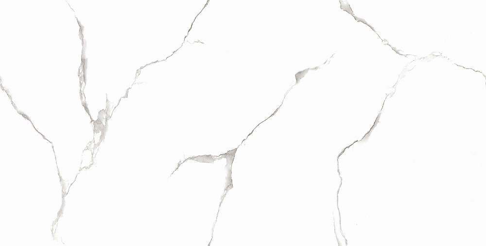 Silver White PGVT 60x120 Casati Ceramica