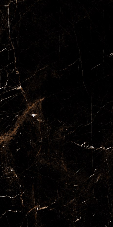 Marble Tropic Black 120x60 Artcer