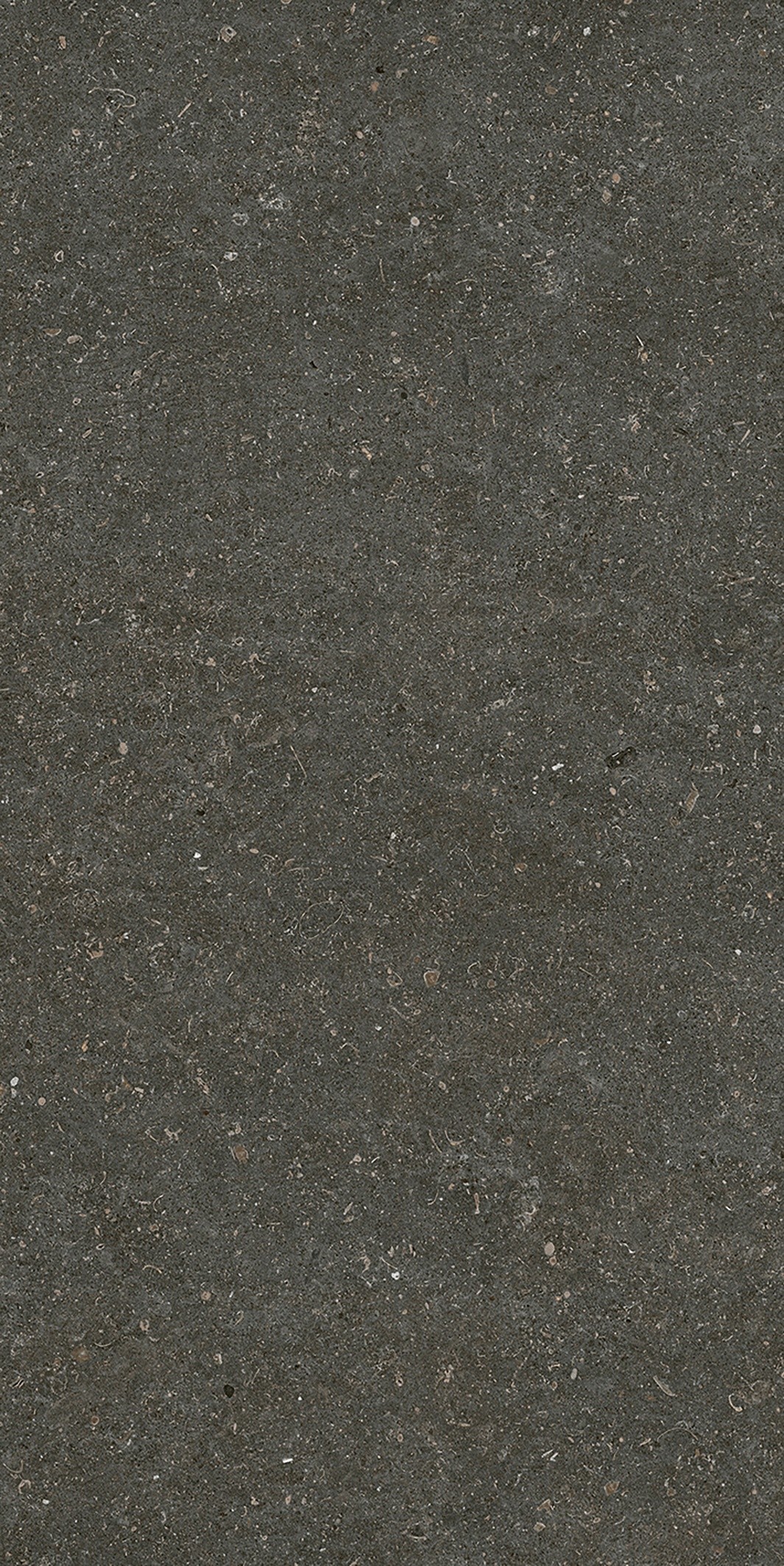 785577 Rinascenza Arena Platino Matte 6mm 60x120 Casa Dolce Casa фото 9