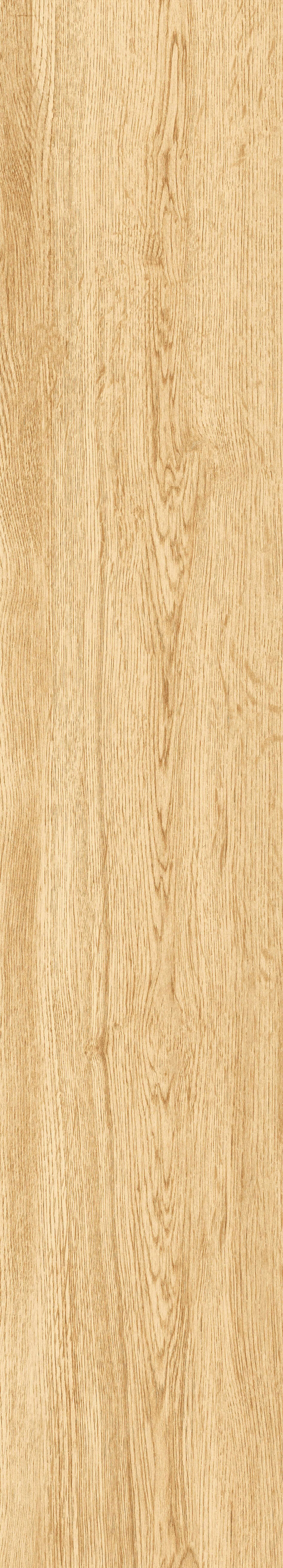 1064 Parma Honey Mate 120x20 Artcer
