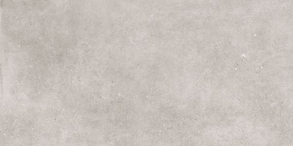Murus Grey 60x120 Gravita