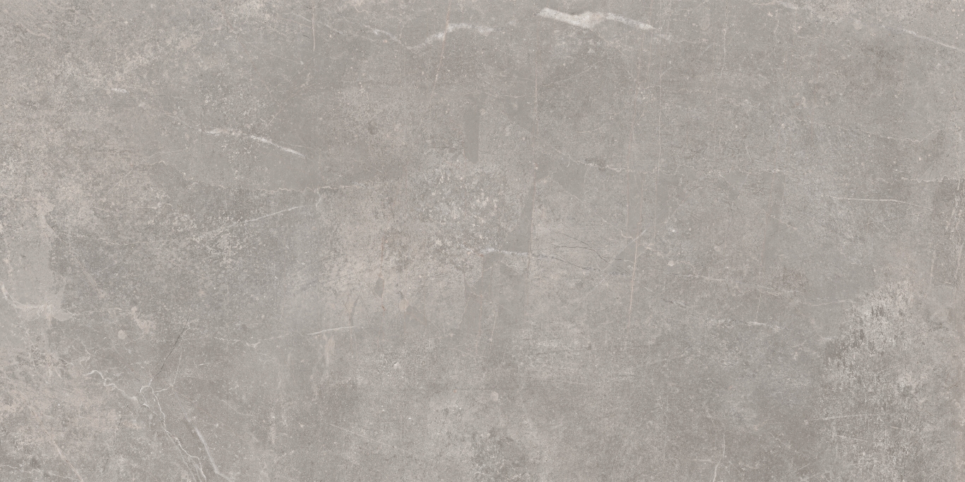 Concept Gray 60x120 Baldocer