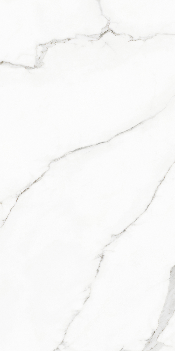 117432 White Beauty Levigato Rettificato 60x120 Naxos