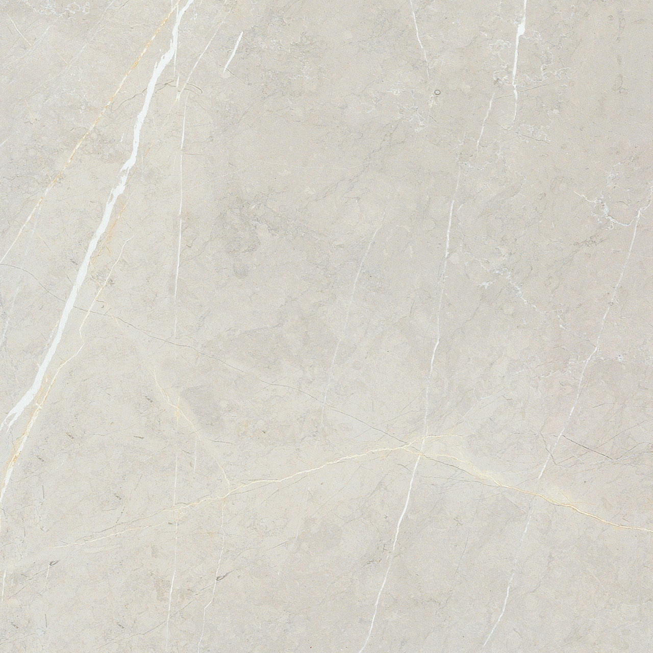 BB6NTT9101P Bright And Shiny 60x60 NT Ceramic