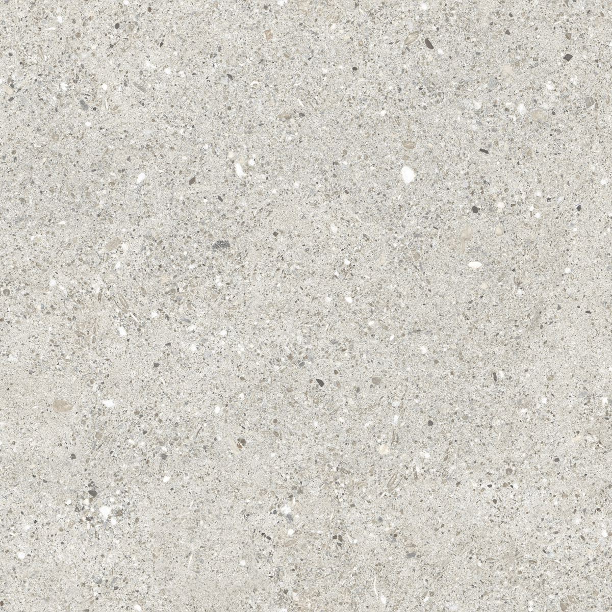CR6060G0461R Granito Grigio серый матовый 59,5х59,5 Ceradim фото 2