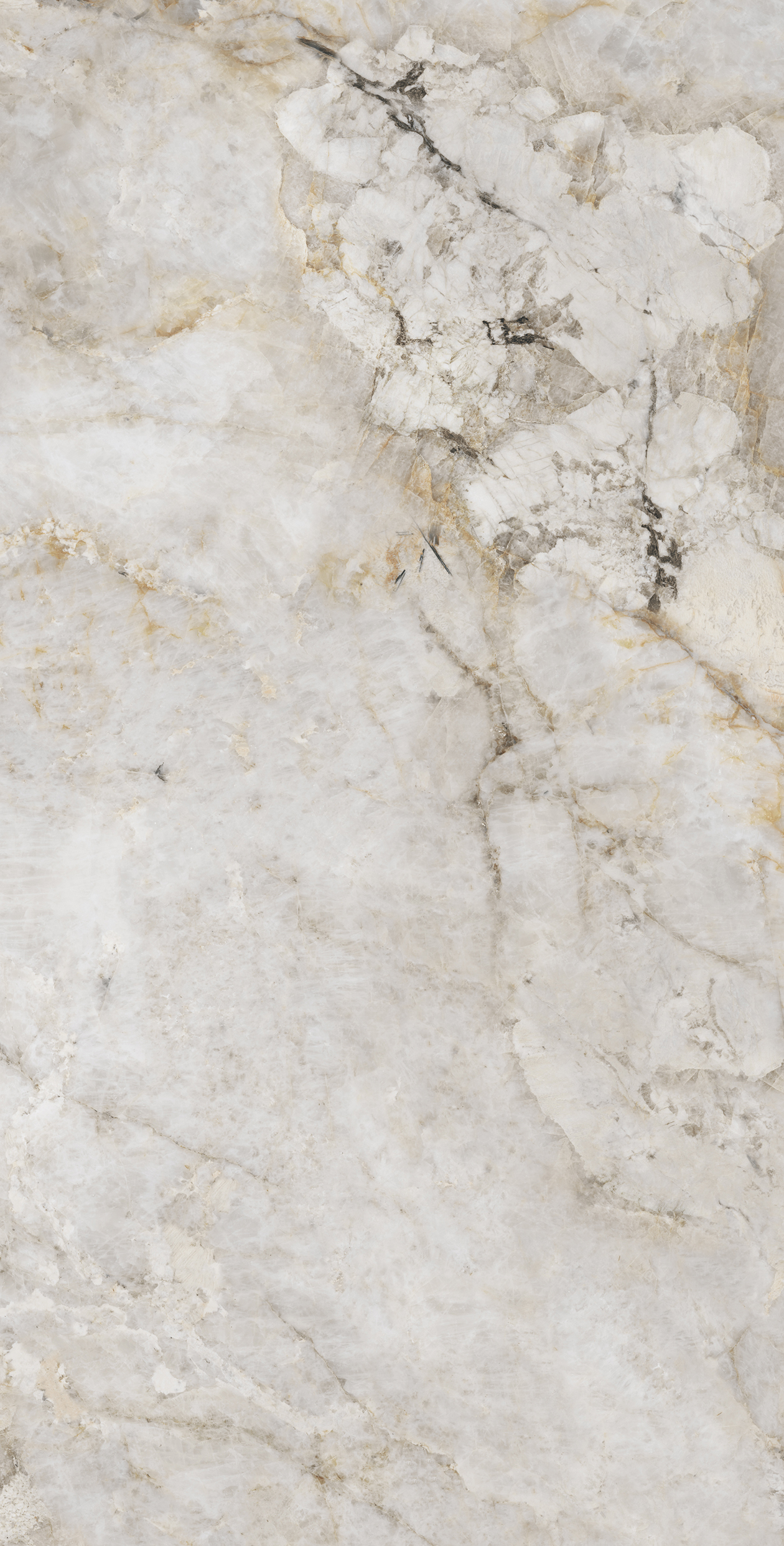 CR4031-A Patagonit Beige Carving 60x120 Arcadia Ceramica фото 2