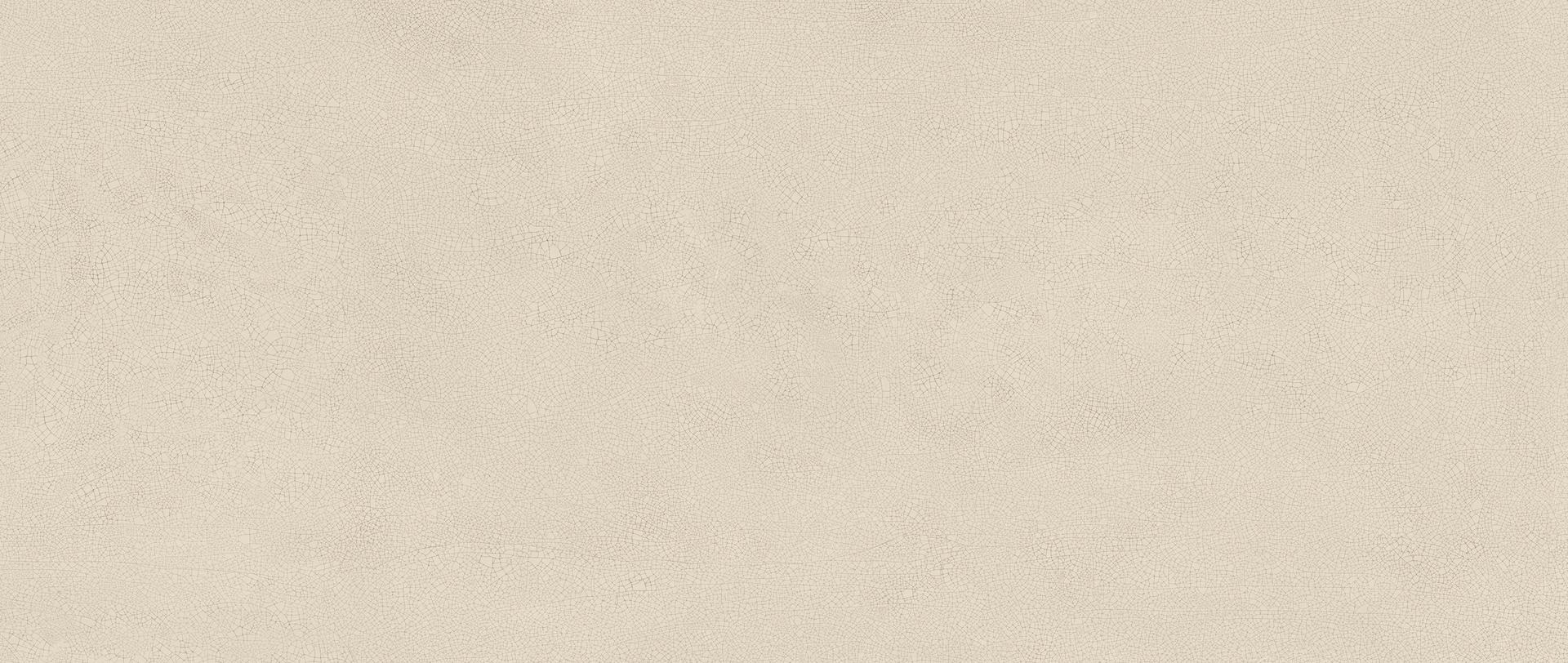 HHIX Vivia Crelis Shell Lucido 50x120 Atlas Concorde