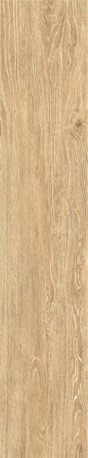 ZC 1023058 rect.. 20x100 Bonaparte