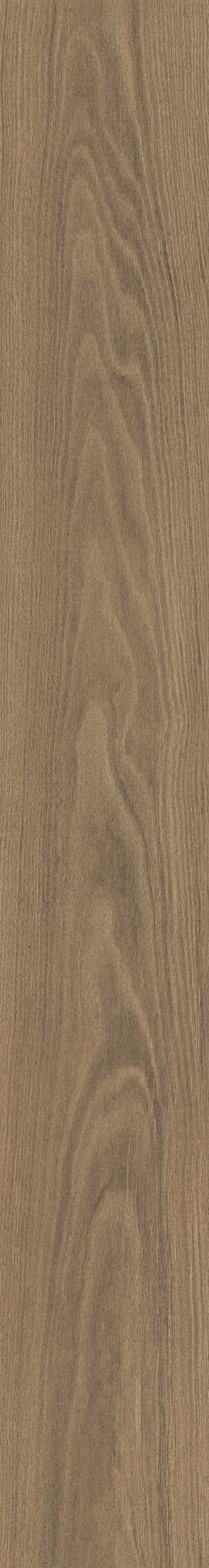 DOUGLAS6 2015 20x150 La Faenza