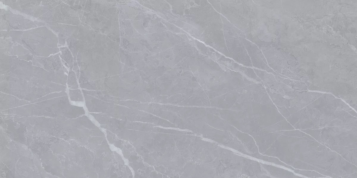 Clovia Gris Glossy 60x120 Art Ceramic