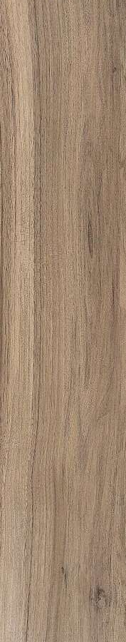 ZC 1023006 rect. 20x100 Bonaparte