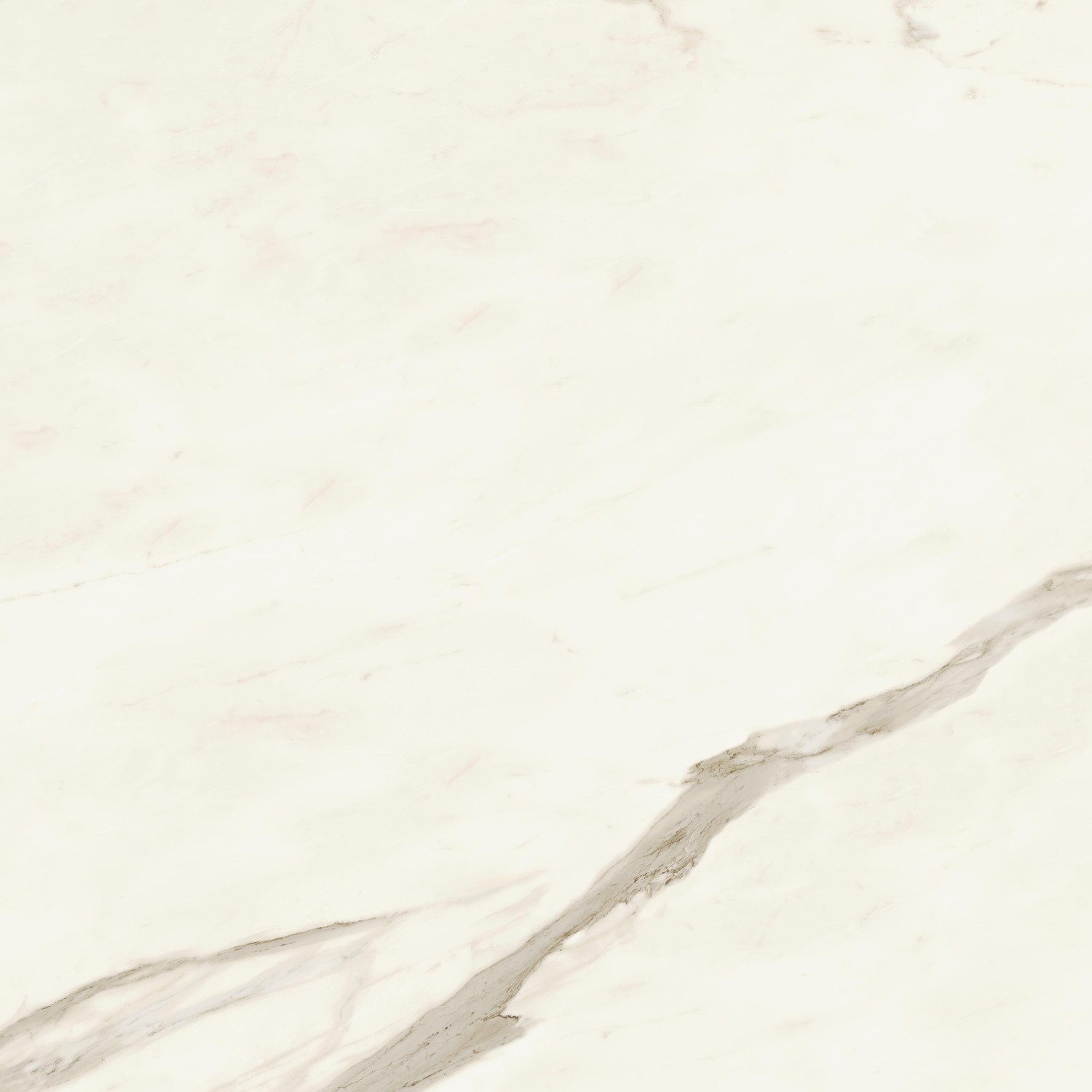 AJIJ Marvel Meraviglia Calacatta Bernini Velvet 120x120 Atlas Concorde