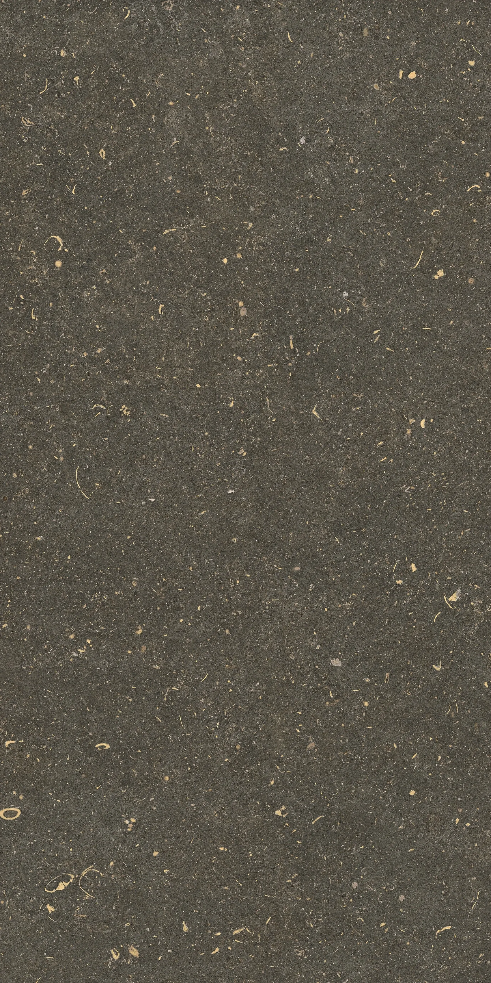 785483 Rinascenza Arena Platino Matte 60x120 Casa Dolce Casa