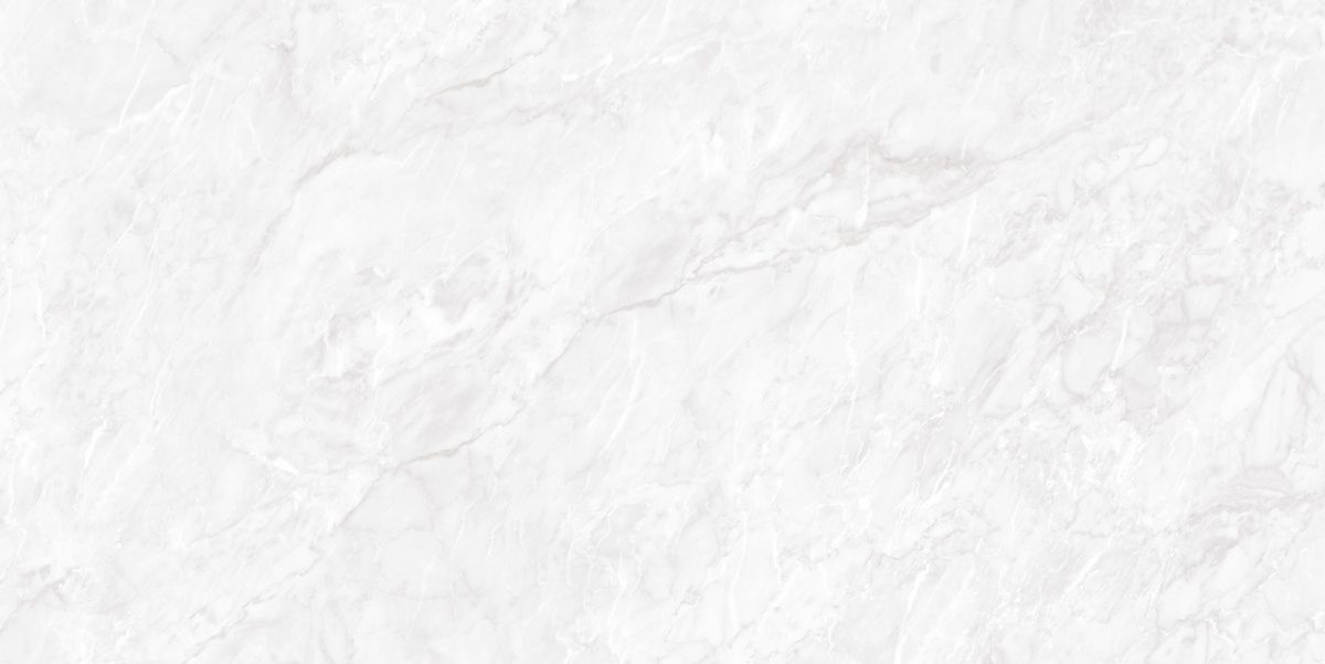 N20481 Carrara Pearl Polished 60x120 Neodom