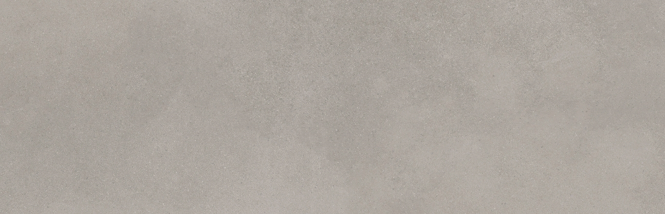 Mediterranea Gris R 31,5x100 Undefasa