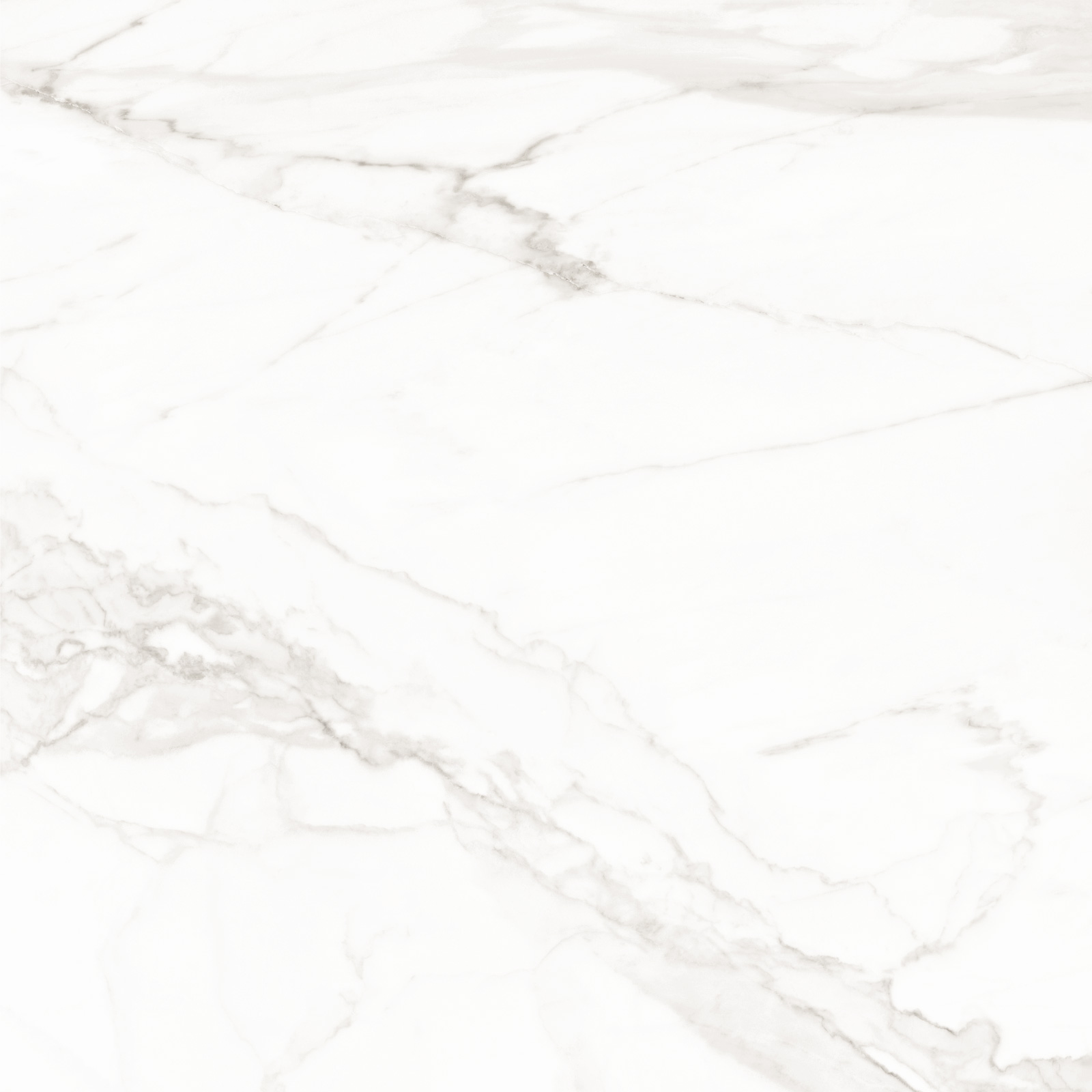 8080TRL00M Trend Line Calacatta матовый 800x800 LCM фото 7