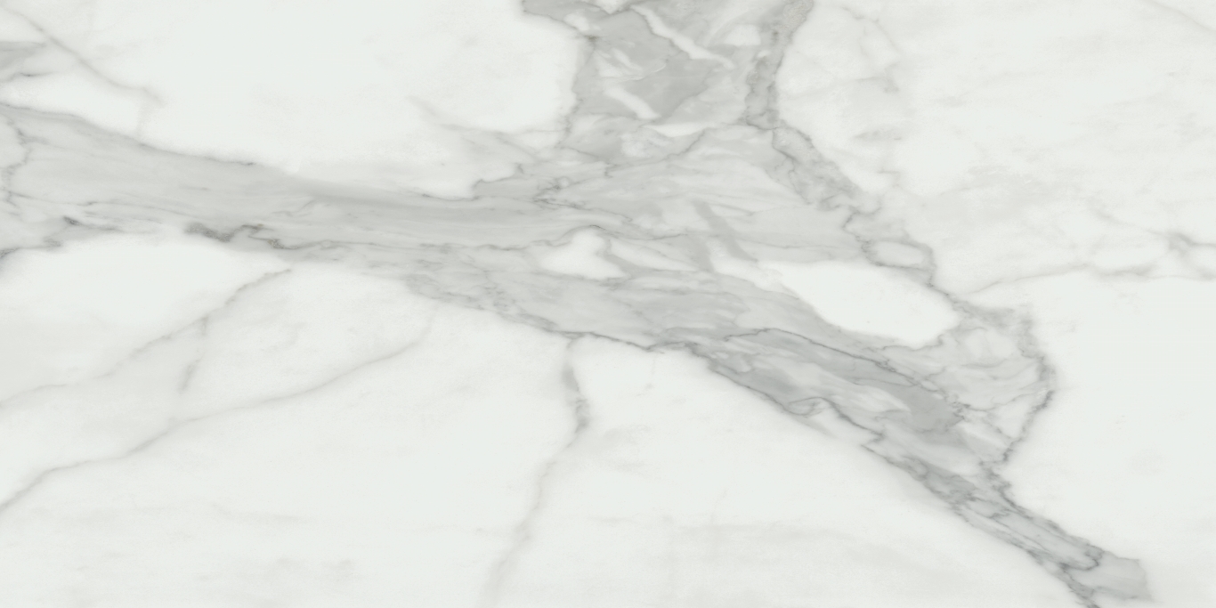 Invictus Natural Rectificado 60x120 Baldocer