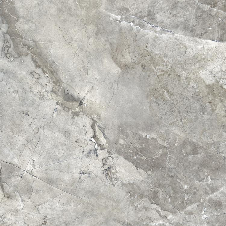 PR123 Mezza Grey Polished 600x600 PrimaVera