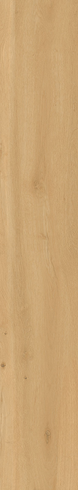 J94089 Oku Contemporary Natural 24x150 RHS (Rondine) Ceramiche