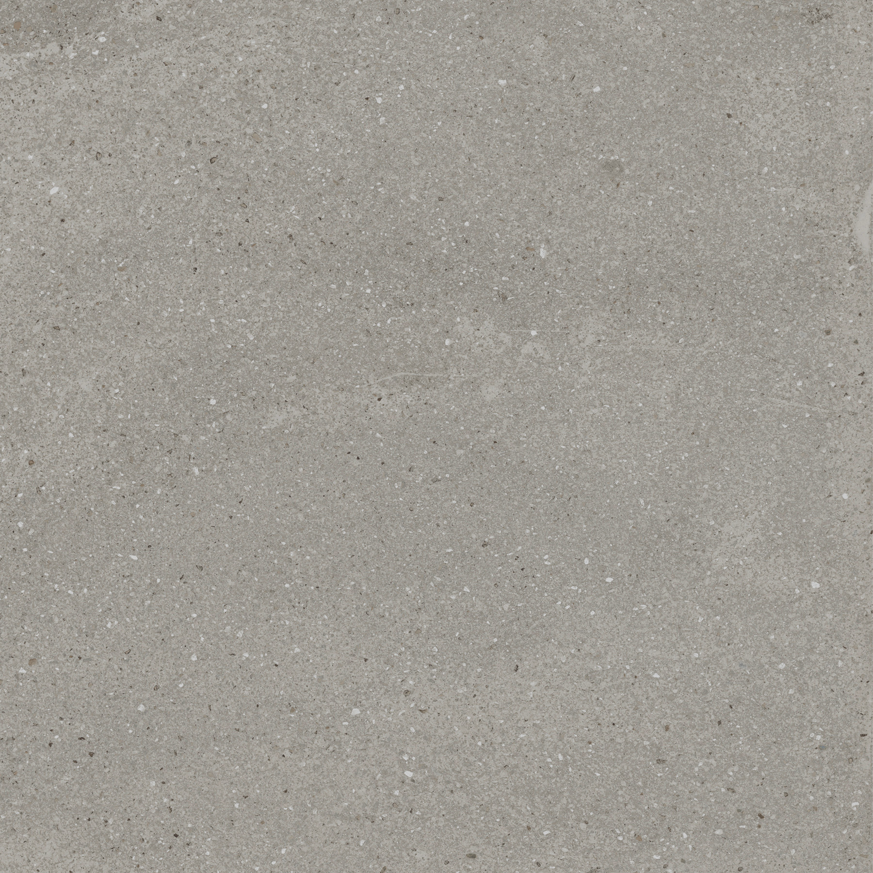 EX-204 Treviso Gris Матовая рельефная R11 60x60 Creanza фото 4