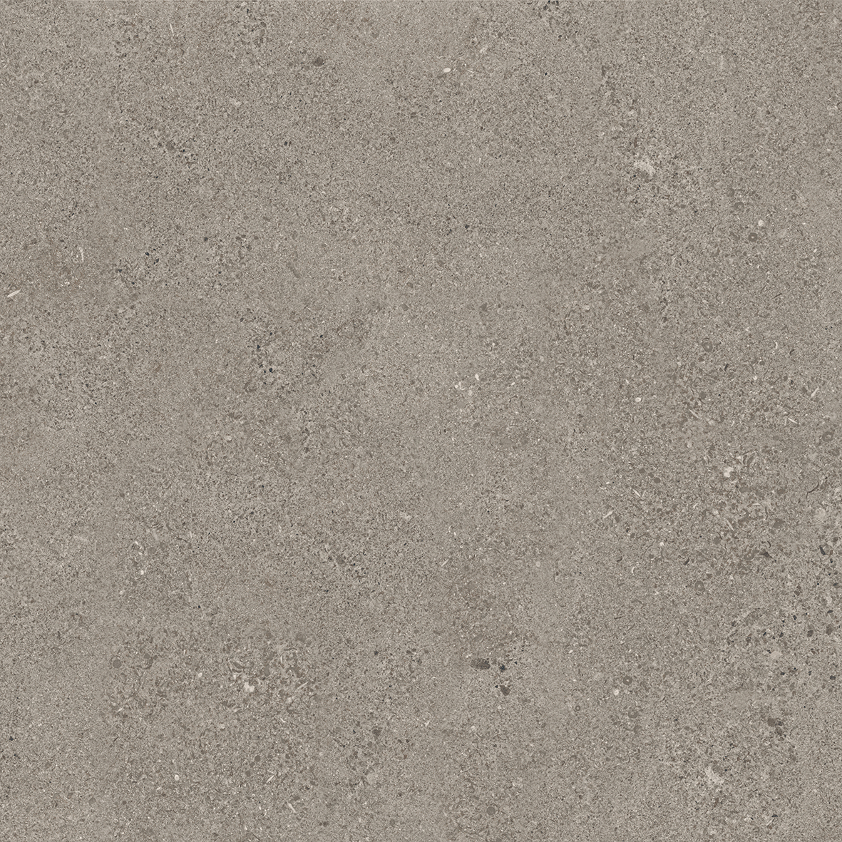 GSR0208 Antibs Бежевый темный граниль 60х60 ProGRES Ceramica